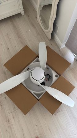 Ceiling fan