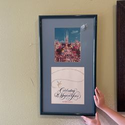 Celebrating 20 Magical Years Walt Disney World Framed Picture