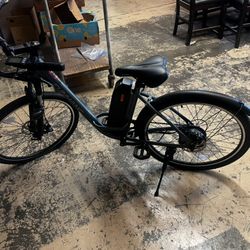 Electric Bike