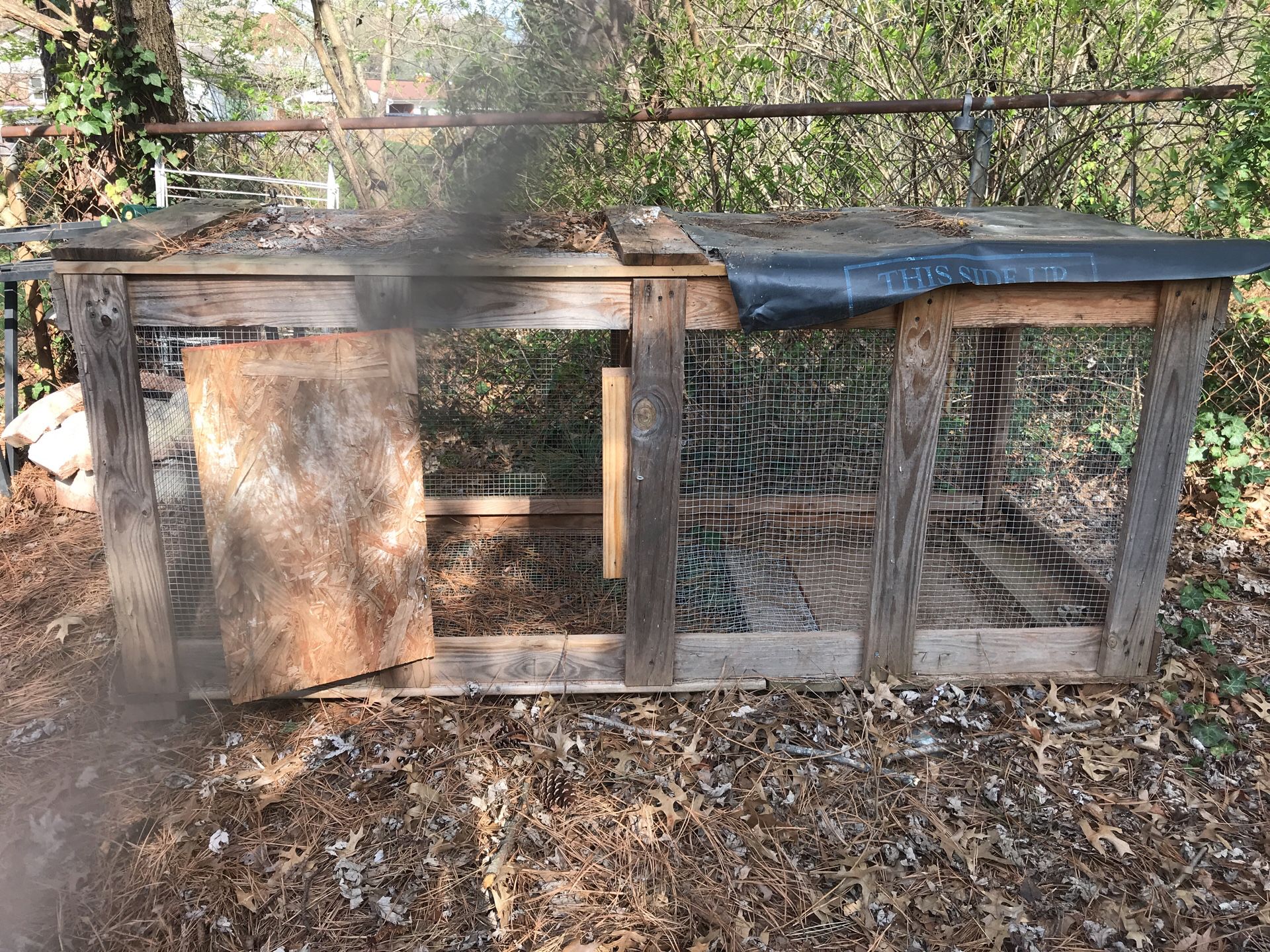 Chicken/quail coop