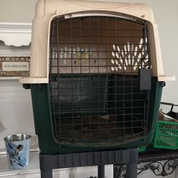 Medium Dog Kennel