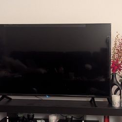 TV 43" With Stand