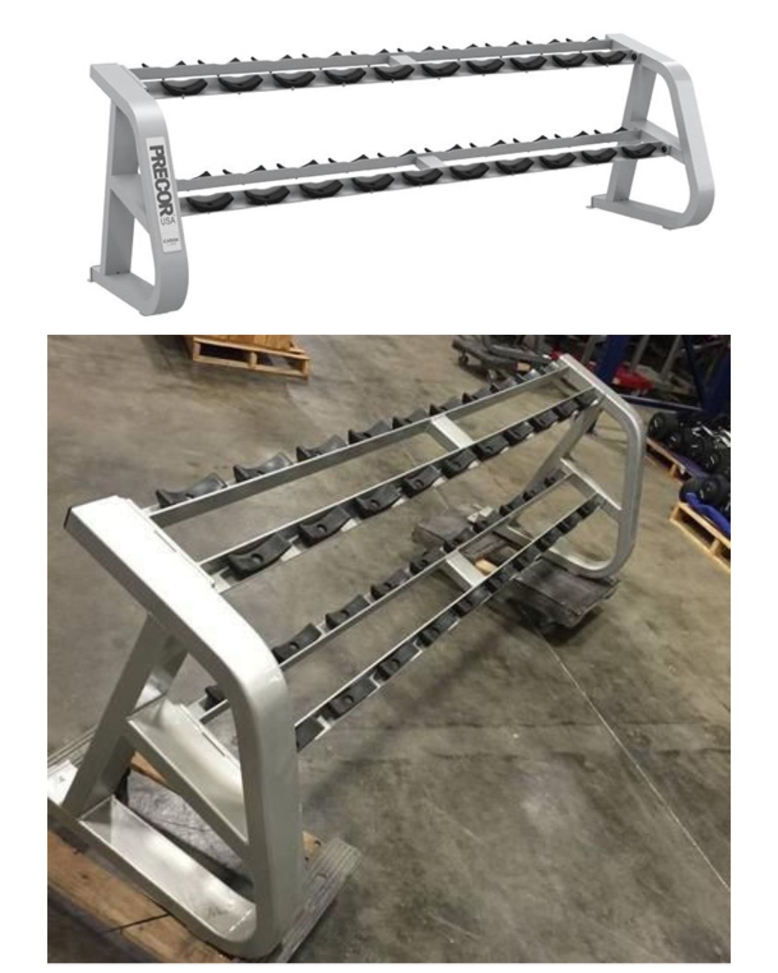 Precor Icarian 2-Tier Commercial Dumbbell Rack