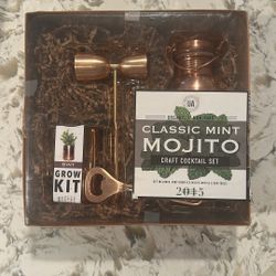 Classic Mint Mojito Craft Cocktails 