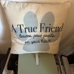 Couch Pillow