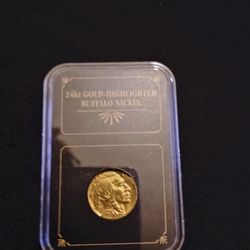 Gold Buffalo Nickel In Case