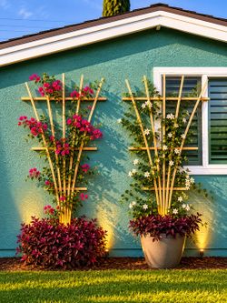Handmade Cedar Trellis from La Puente
