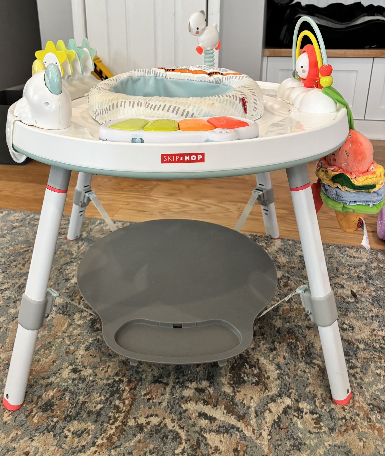 Skip Hop Baby Activity Center