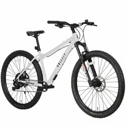 Golden Cycles Grizzly 29”MTB