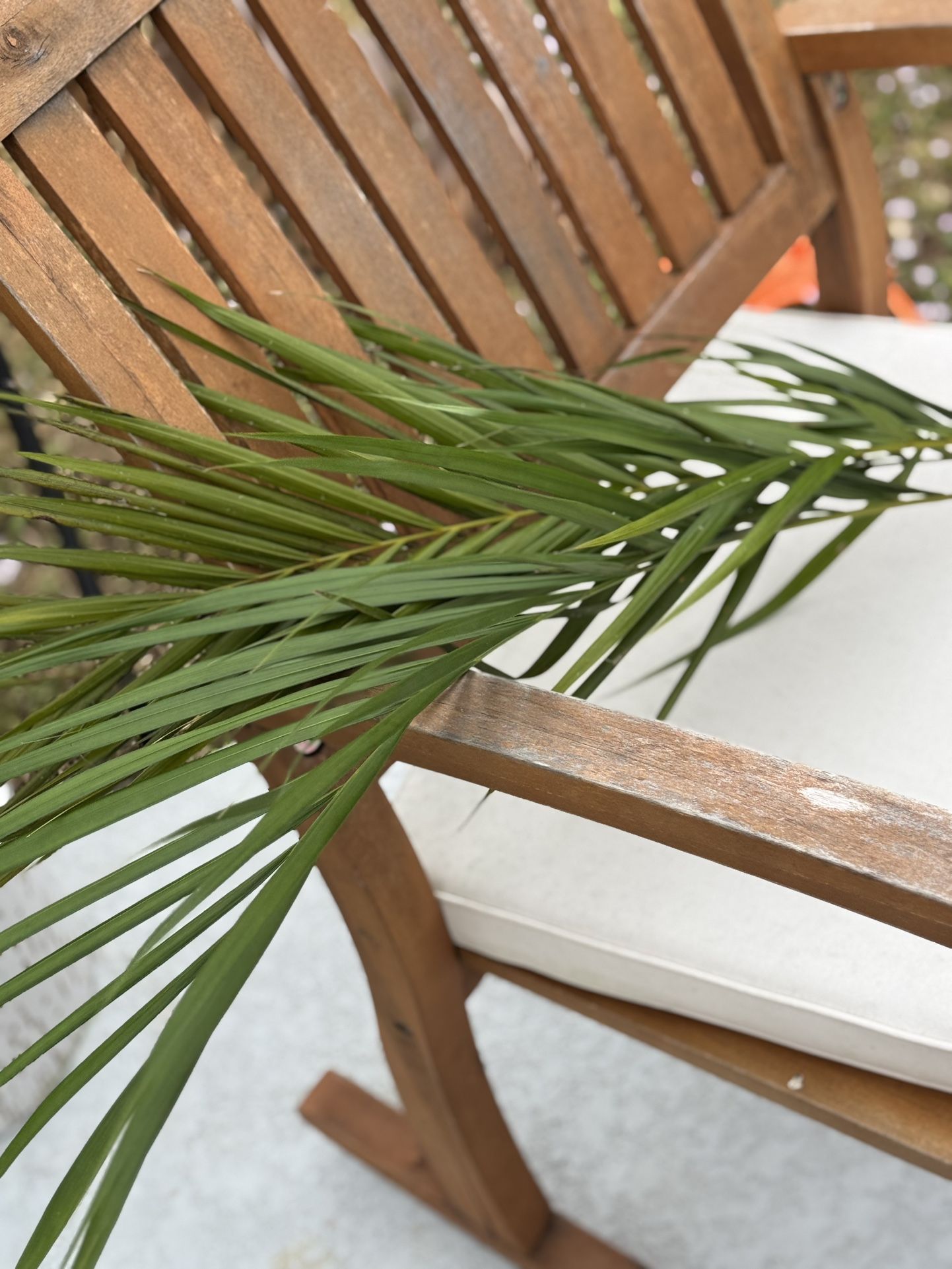 Palm Decorations- Real Healthy Foliage
