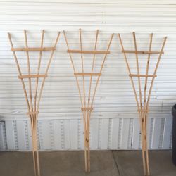 Trellises 