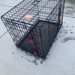 Dog Crate Kong