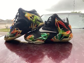 Lebron 11 (Everglades) Gs
