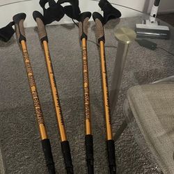 Nordic Traveler Pole Twist Lock Aluminum () Walking-Exercise Poles