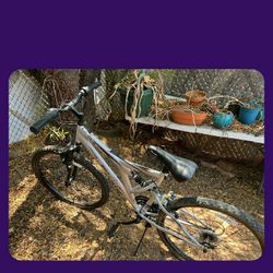 Pacific Bike