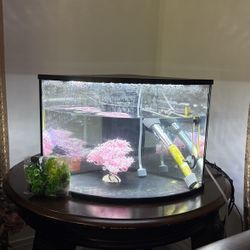Fish Aquarium With All Essentials 30$