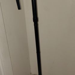 ViVe Walking Cane For Sale 