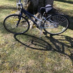 Hybrid Trek Bike 