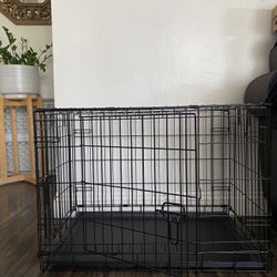 dog crate 