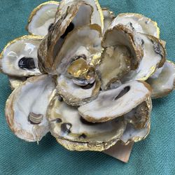 Oyster Shell Magnolias