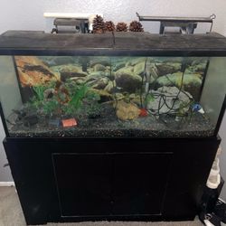 70G Aquarium 
