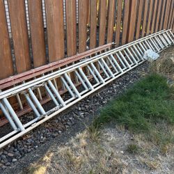 Extension Ladder