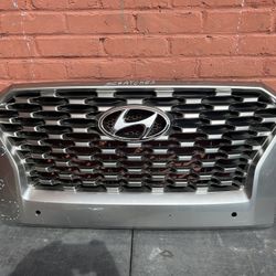 2020-2022 Hyundai Palisade Grill OEM