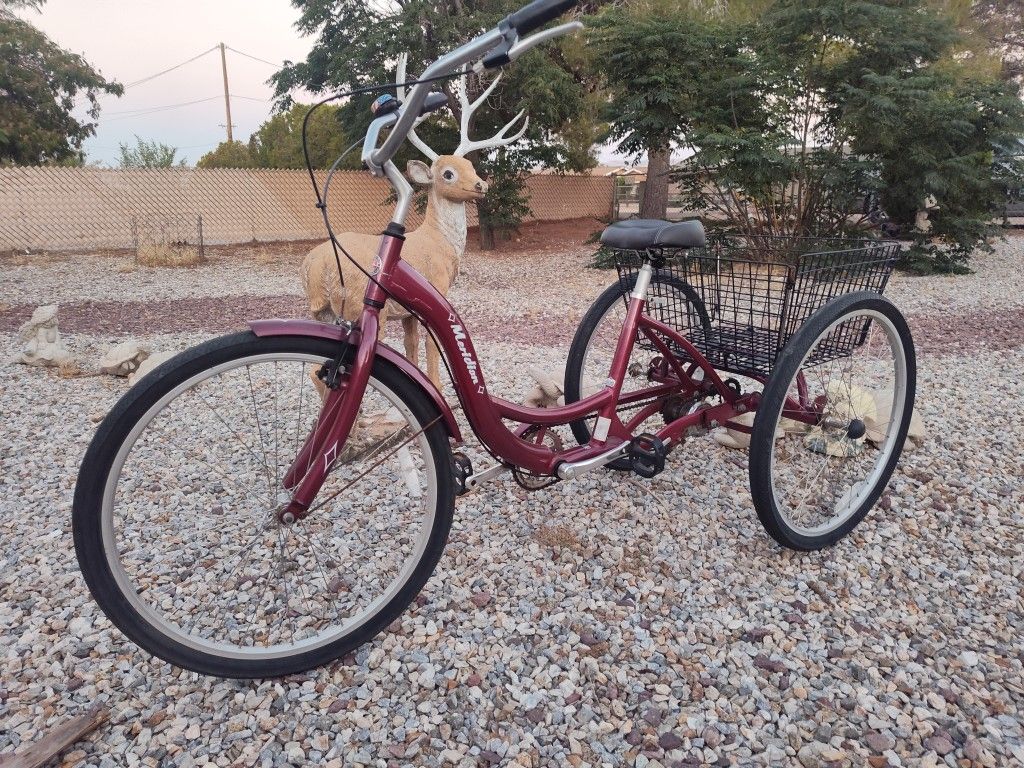 Schwinn Meridian Trike