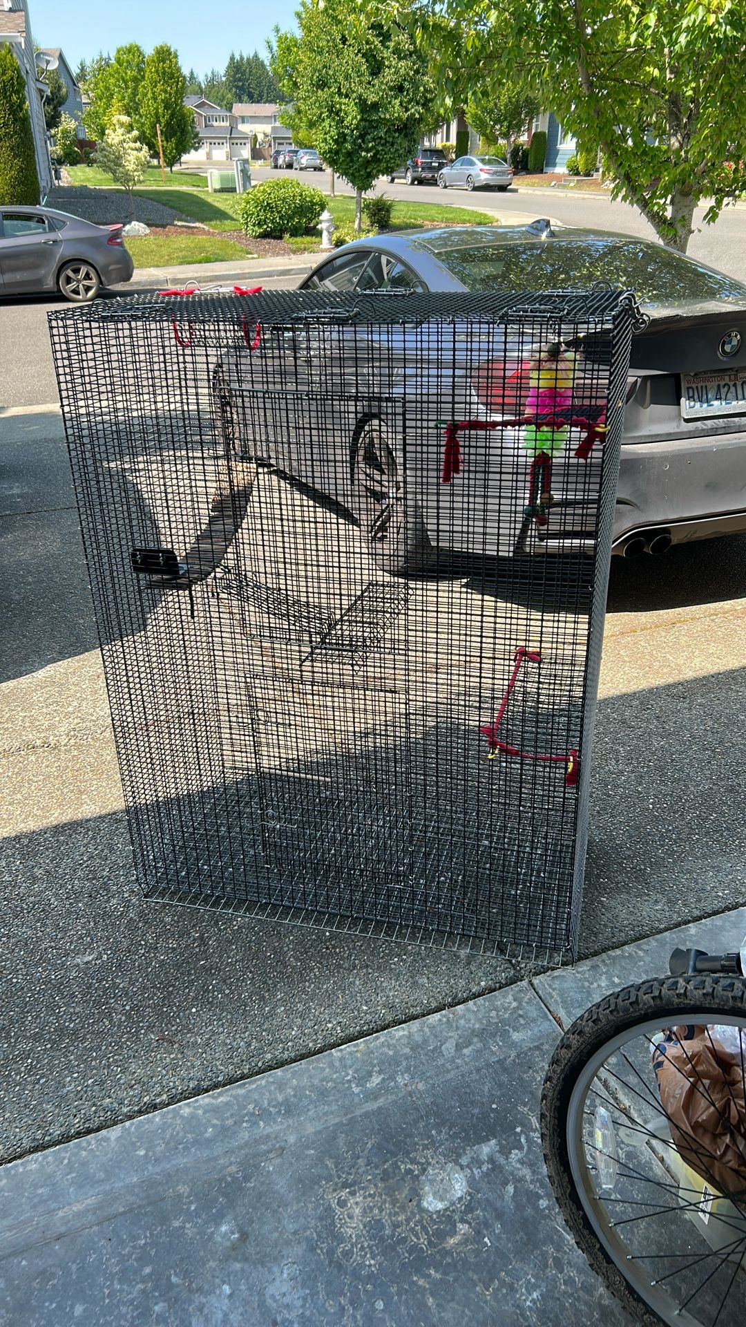Sugar Glider Cage