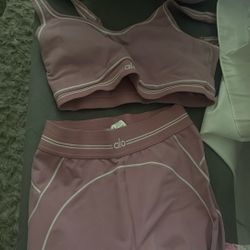 Pink Alo Leggings And Bra Set