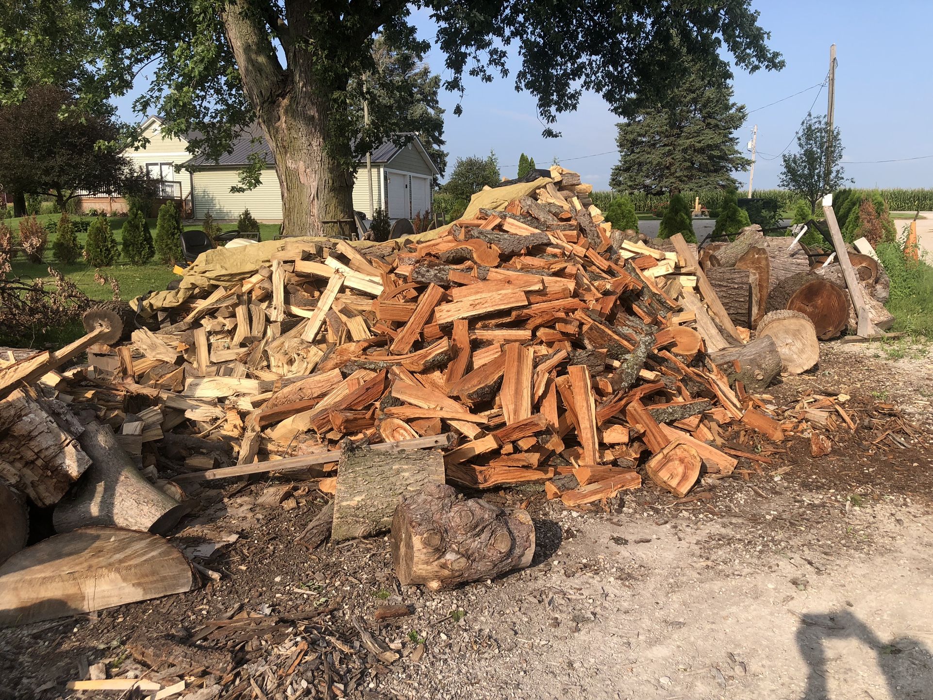 Firewood