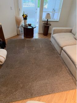 Living Room Rug 9/12