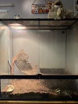Reptile Cage