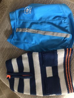 Dog outfit