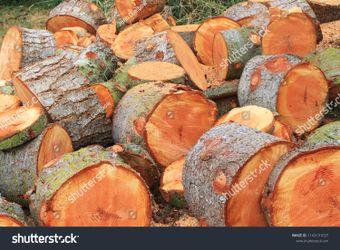 Firewood rounds