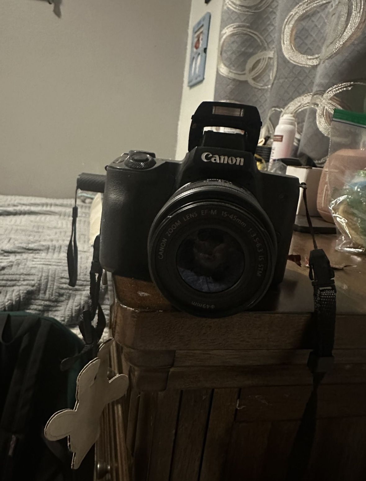Canon M50 Mirrorless Camera