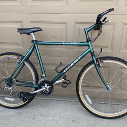 Giant Iguana Mountain Bike