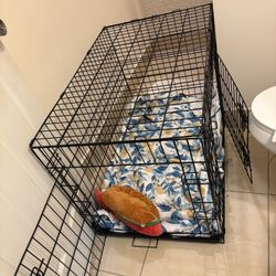 Dog Cage 