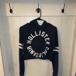 Hollister Long Sleeve Crop Top