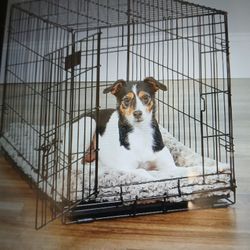 Midwest dog cage, new inbox.\ two Of them. l
