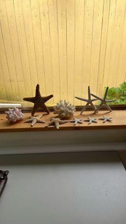Beach style decor