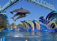 X11 SEAWORLD Single Day Entry 🦈🦭🦦🐋🎢