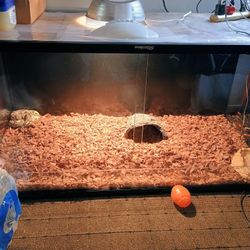 Reptile Enclosure 