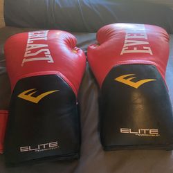 Elite Everlast Boxing Glives 