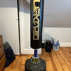 Punching Bag And Gloves