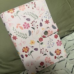 Budget/savings Binder