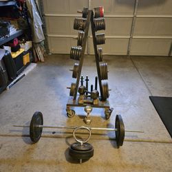 450lbs Standard Weights.