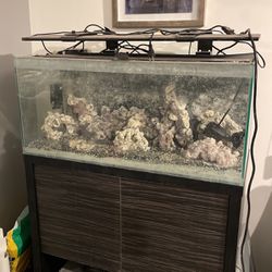 Salt Water Fish Tank 