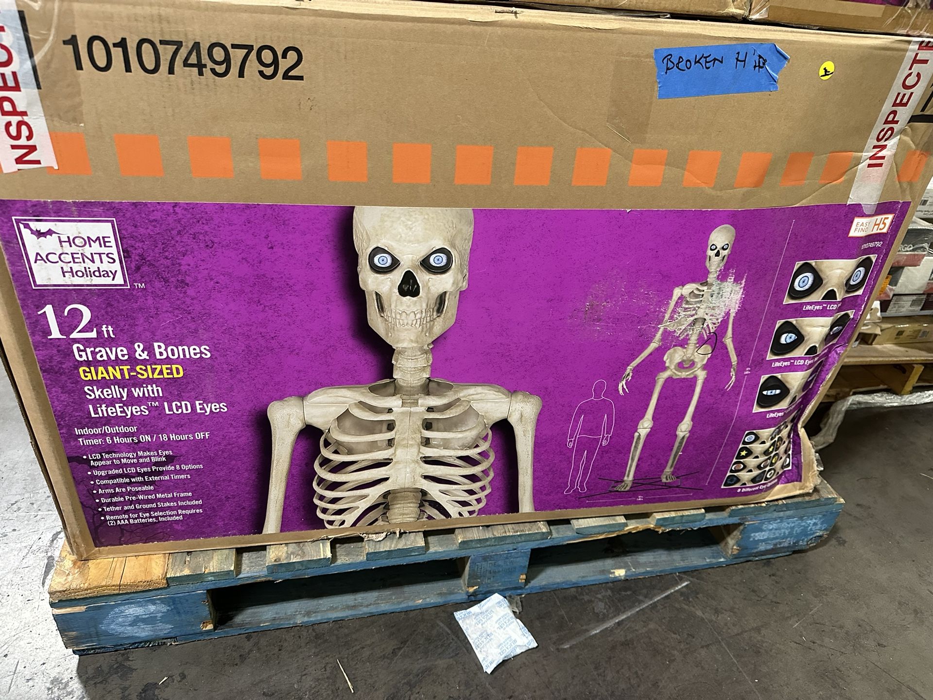12ft Giant Sized Skelly 