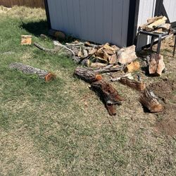 Free Pecan an oak Wood 